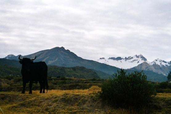 Bild Nr. 1032 - 243 mal gesehen Bild Nr. 1032 - 243 mal gesehen