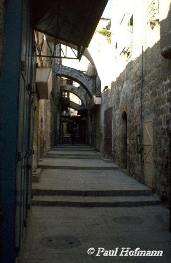 Bild Nr. 10378 - 167 mal gesehen