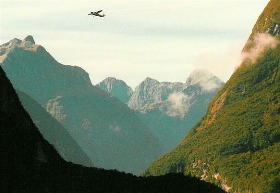 Bild Nr. 10586 - 252 mal gesehen