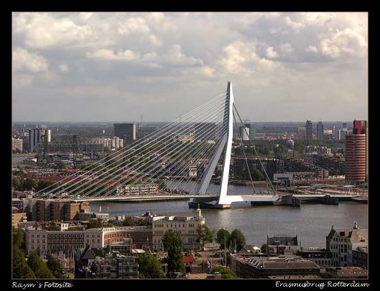 Bild Nr. 10884 - 401 mal gesehen