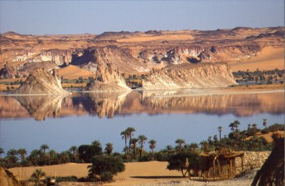 Bild Nr. 1115 - 422 mal gesehen Bild Nr. 1115 - 422 mal gesehen