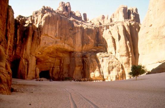 Bild Nr. 1116 - 508 mal gesehen Bild Nr. 1116 - 508 mal gesehen