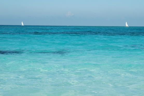 Bild Nr. 11225 - 208 mal gesehen