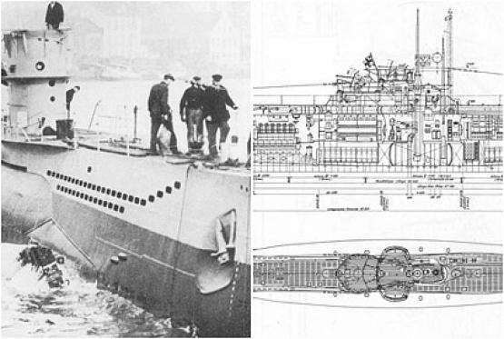 Bild Nr. 11559 - 831 mal gesehen Bild Nr. 11559 - 831 mal gesehen