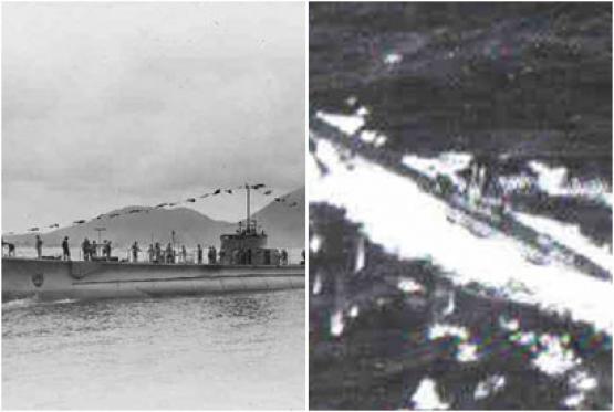 Bild Nr. 11560 - 738 mal gesehen Bild Nr. 11560 - 738 mal gesehen