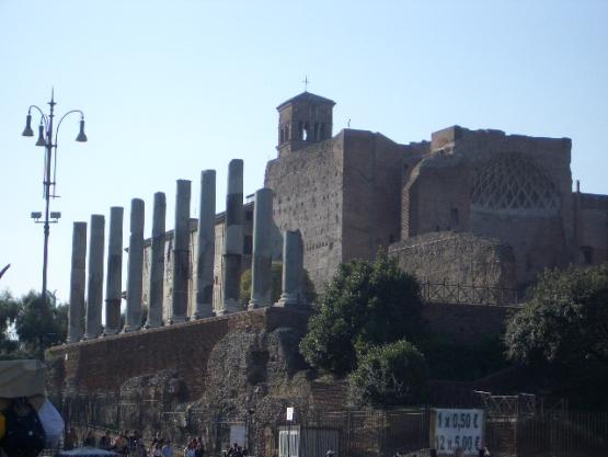 Bild Nr. 11645 - 254 mal gesehen Bild Nr. 11645 - 254 mal gesehen