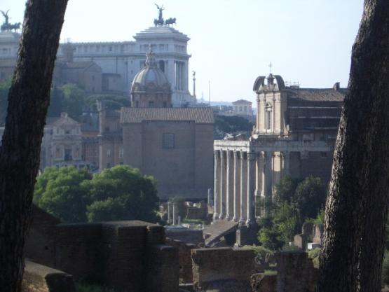 Bild Nr. 11646 - 249 mal gesehen Bild Nr. 11646 - 249 mal gesehen