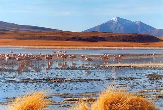 Bild Nr. 1168 - 273 mal gesehen