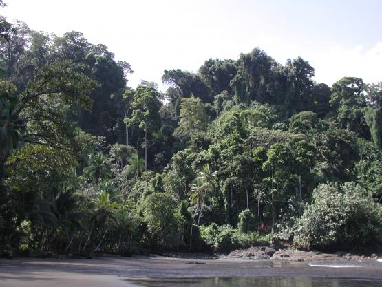 Bild Nr. 1202 - 1802 mal gesehen Bild Nr. 1202 - 1802 mal gesehen