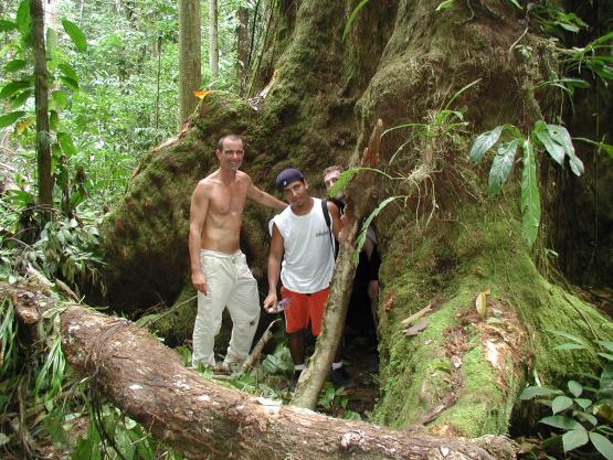 Bild Nr. 1206 - 1589 mal gesehen Bild Nr. 1206 - 1589 mal gesehen