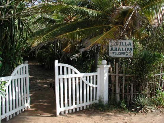 Bild Nr. 1208 - 1285 mal gesehen Bild Nr. 1208 - 1285 mal gesehen