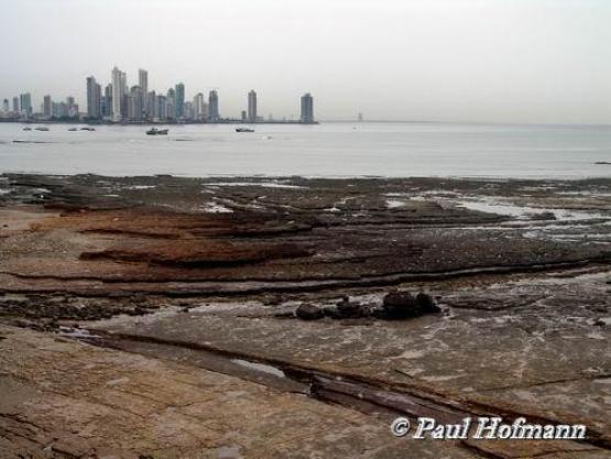 Bild Nr. 12374 - 187 mal gesehen