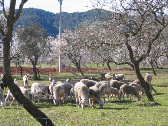 Bild Nr. 12591 - 357 mal gesehen