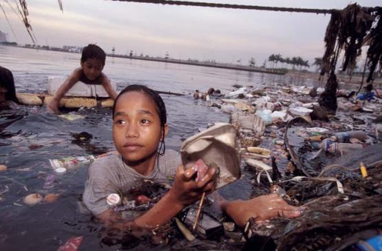 Bild Nr. 12636 - 576 mal gesehen Bild Nr. 12636 - 576 mal gesehen