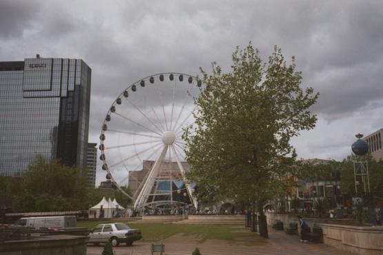 Bild Nr. 12645 - 445 mal gesehen Bild Nr. 12645 - 445 mal gesehen