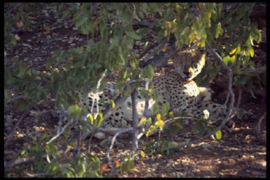 Bild Nr. 12669 - 286 mal gesehen