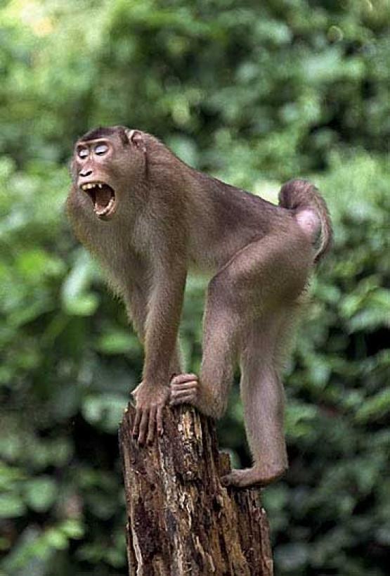 Bild Nr. 1273 - 150 mal gesehen