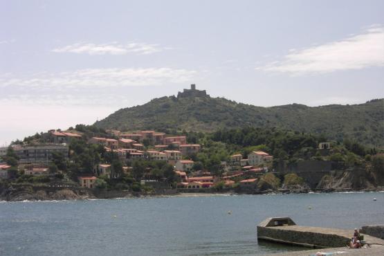 Bild Nr. 12803 - 113 mal gesehen