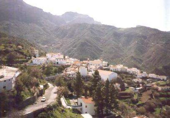 Bild Nr. 12810 - 122 mal gesehen