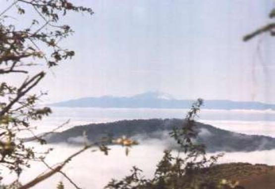 Bild Nr. 12811 - 132 mal gesehen