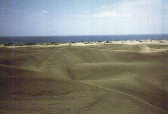 Bild Nr. 12812 - 116 mal gesehen