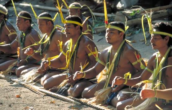 Bild Nr. 1342 - 292 mal gesehen Bild Nr. 1342 - 292 mal gesehen