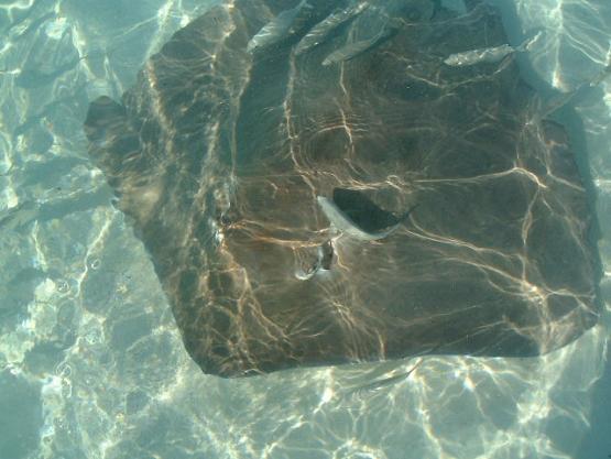 Bild Nr. 134 - 204 mal gesehen Bild Nr. 134 - 204 mal gesehen