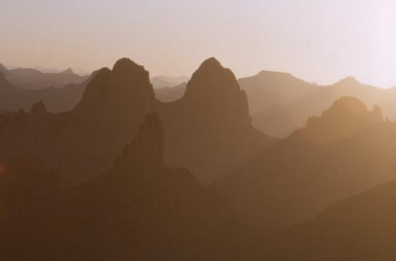 Bild Nr. 1381 - 478 mal gesehen Bild Nr. 1381 - 478 mal gesehen