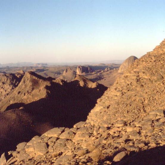 Bild Nr. 1383 - 342 mal gesehen Bild Nr. 1383 - 342 mal gesehen