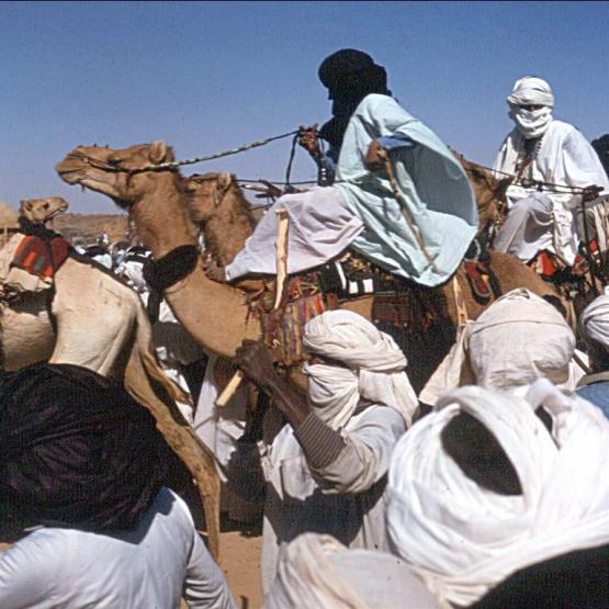 Bild Nr. 1388 - 282 mal gesehen Bild Nr. 1388 - 282 mal gesehen