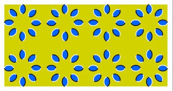 Bild Nr. 13925 - 708 mal gesehen