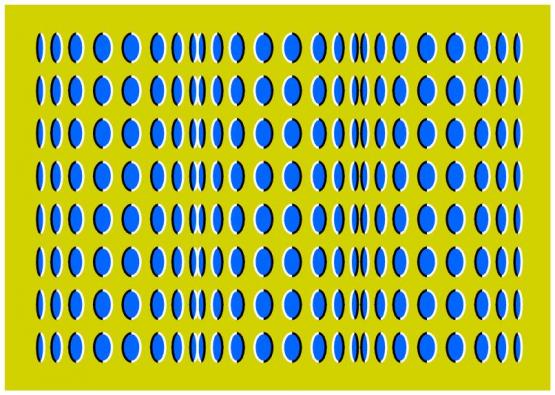 Bild Nr. 13926 - 573 mal gesehen