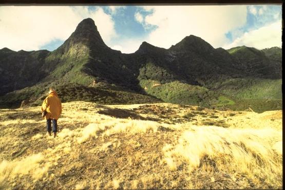 Bild Nr. 1396 - 516 mal gesehen Bild Nr. 1396 - 516 mal gesehen