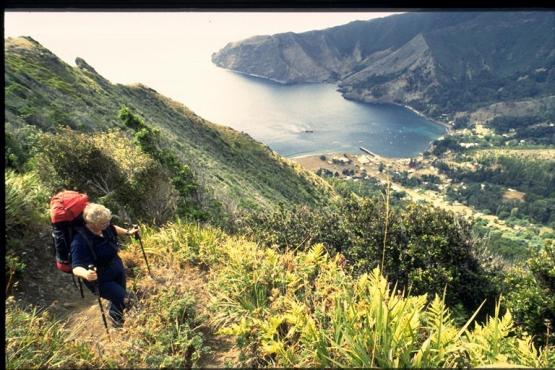 Bild Nr. 1399 - 340 mal gesehen Bild Nr. 1399 - 340 mal gesehen