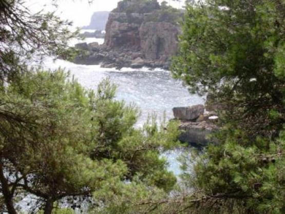 Bild Nr. 14278 - 253 mal gesehen