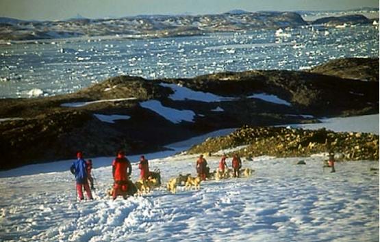 Bild Nr. 1429 - 410 mal gesehen