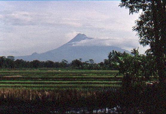 Bild Nr. 1430 - 320 mal gesehen Bild Nr. 1430 - 320 mal gesehen