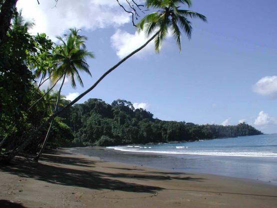 Bild Nr. 144 - 3683 mal gesehen Bild Nr. 144 - 3683 mal gesehen