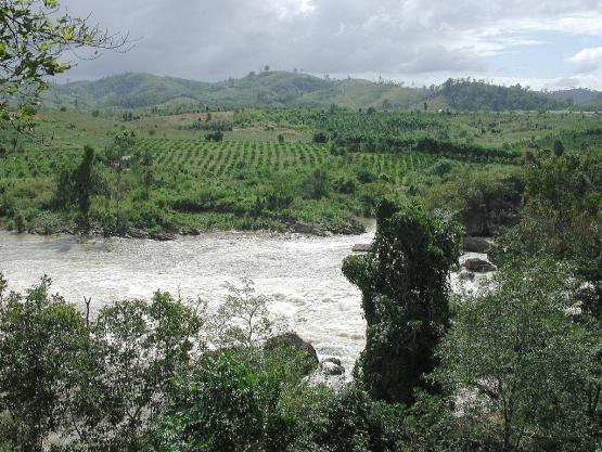 Bild Nr. 1469 - 206 mal gesehen Bild Nr. 1469 - 206 mal gesehen