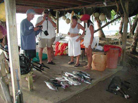 Bild Nr. 147 - 1619 mal gesehen Bild Nr. 147 - 1619 mal gesehen