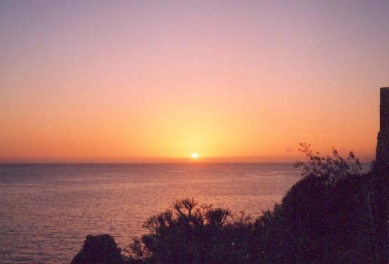 Bild Nr. 1490 - 165 mal gesehen Bild Nr. 1490 - 165 mal gesehen