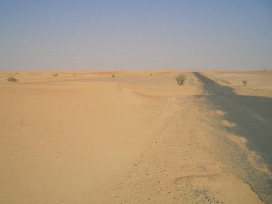 Bild Nr. 15194 - 252 mal gesehen