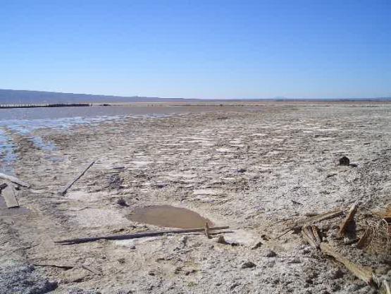 Bild Nr. 15669 - 299 mal gesehen