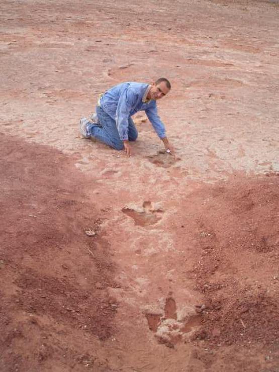 Bild Nr. 15823 - 242 mal gesehen