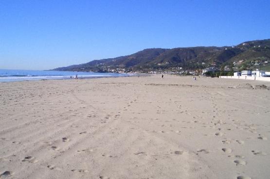 Bild Nr. 15920 - 352 mal gesehen