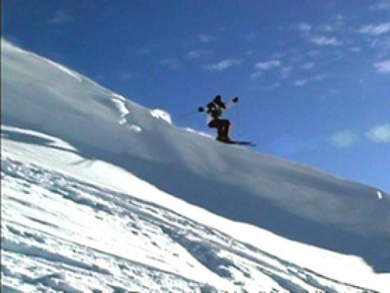 Bild Nr. 15928 - 328 mal gesehen