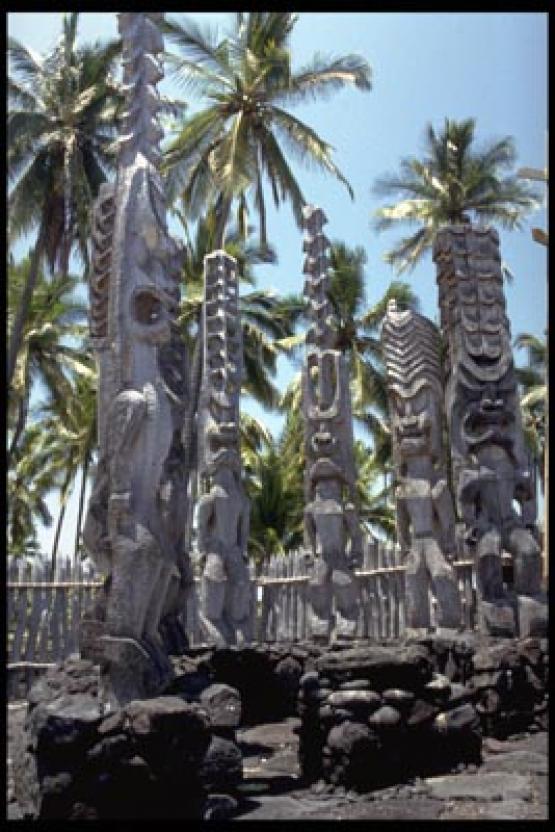 Bild Nr. 15940 - 502 mal gesehen