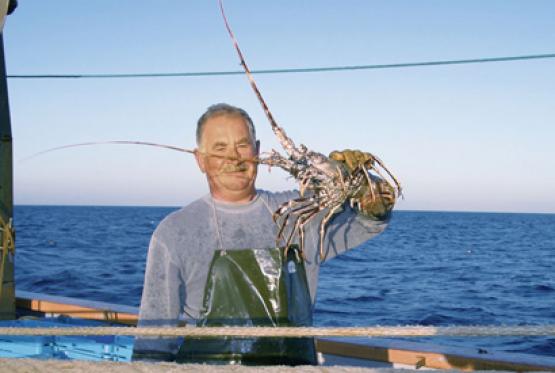 Bild Nr. 15966 - 317 mal gesehen Bild Nr. 15966 - 317 mal gesehen