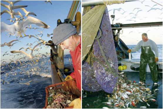 Bild Nr. 15969 - 299 mal gesehen Bild Nr. 15969 - 299 mal gesehen