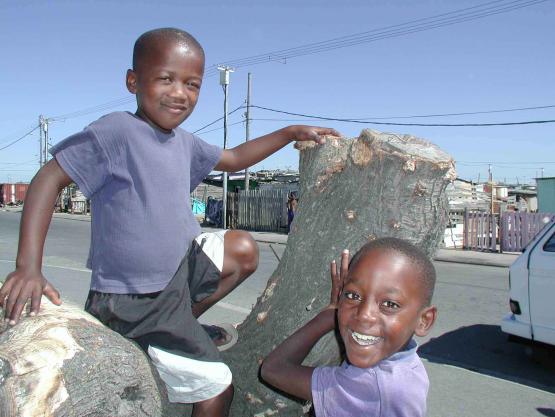 Bild Nr. 16069 - 468 mal gesehen Bild Nr. 16069 - 468 mal gesehen